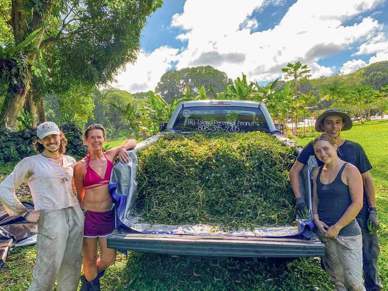 The BIPP team in front of 500 pounds of Perennial Peanut stolens loaded into a truck bed.